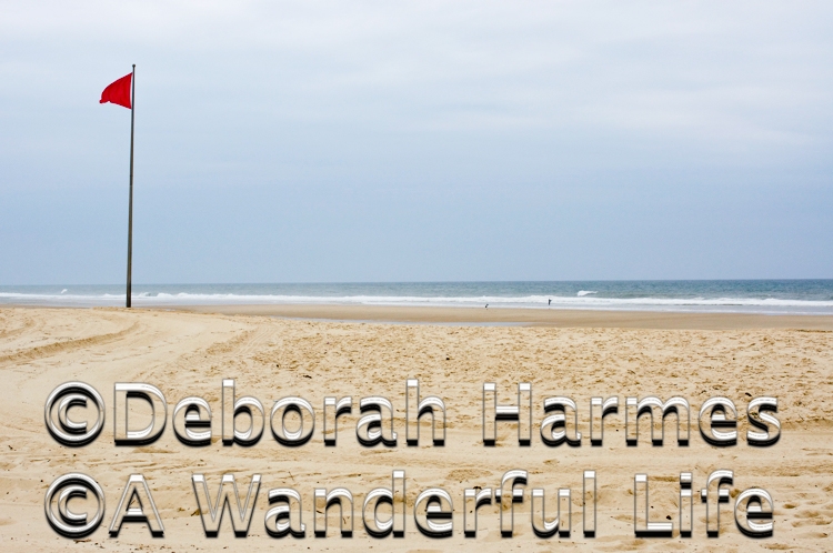 ©Deborah Harmes