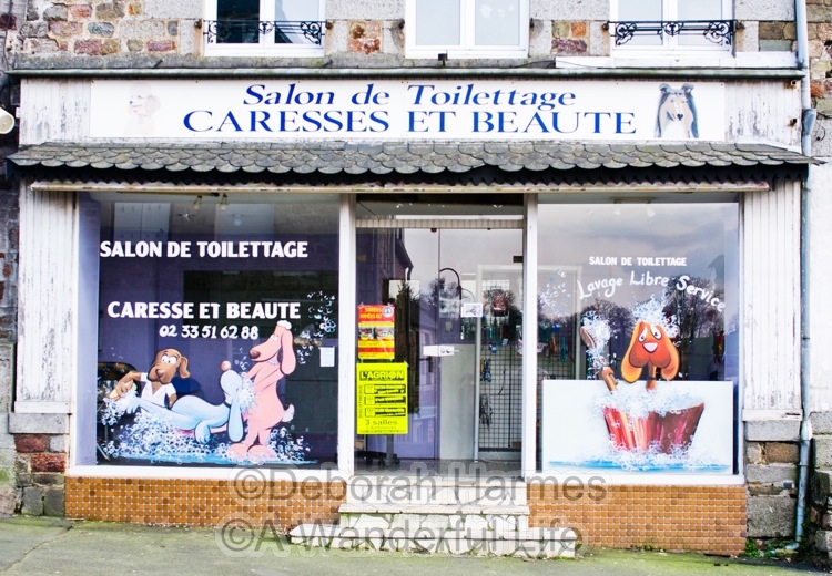 Dog Grooming Shop