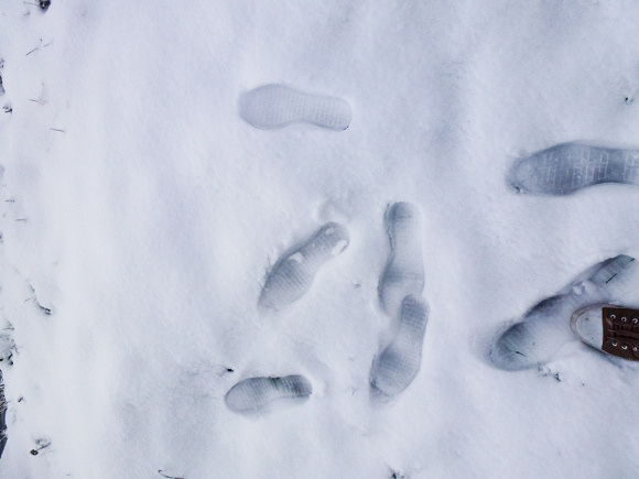 FreshFootprints-580
