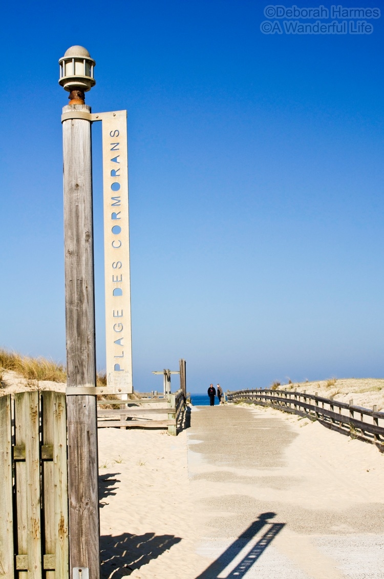 PlageCormoransEntrance-750