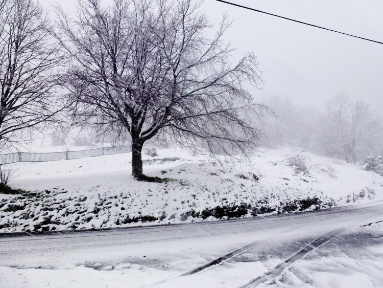 WinterWonderlandInApril-750