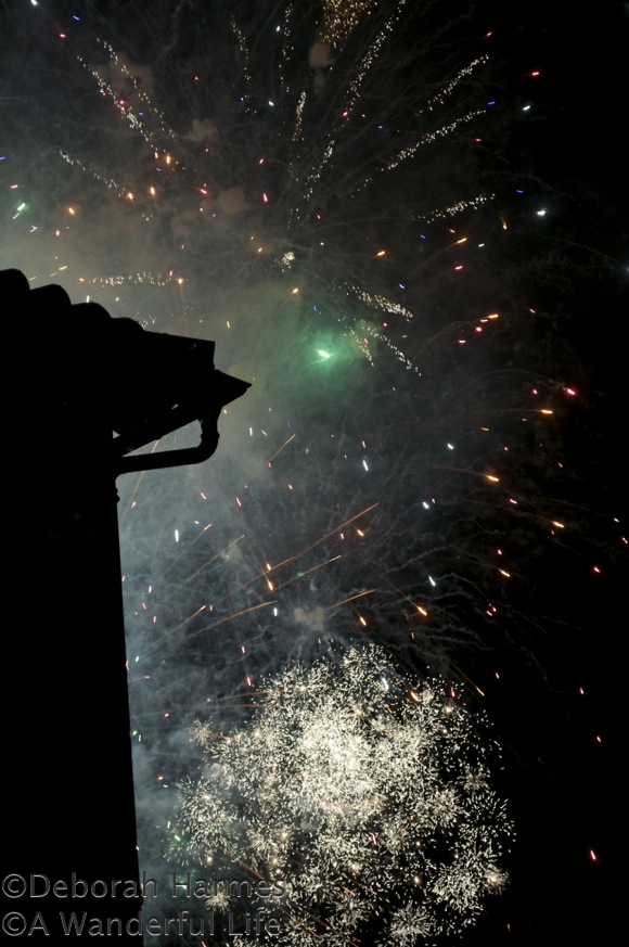 FireworksGreen-580