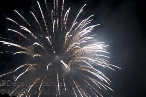 FireworksPomPom-670
