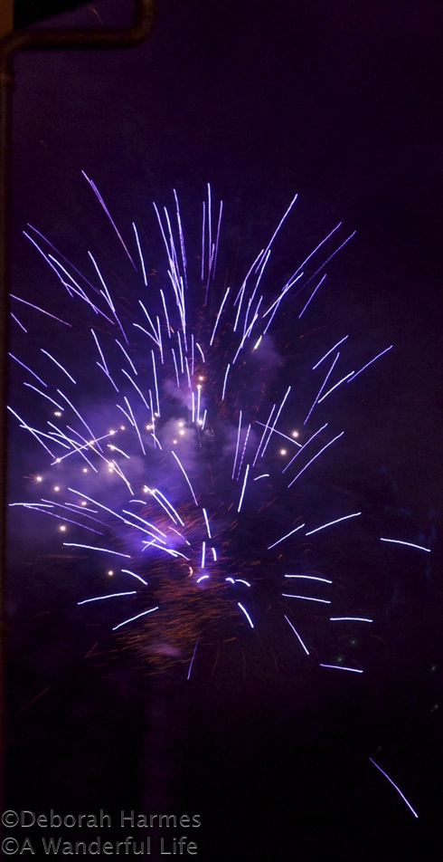 FireworksPurple-490
