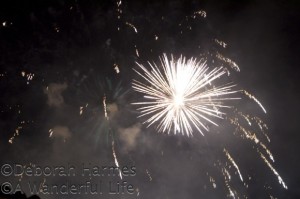 FireworksSpiky-580