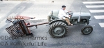 5-Tractor-750.jpg